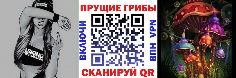 Галлюциногенные грибы Psilocybe hydra ссылка shop какой сайт Череповец