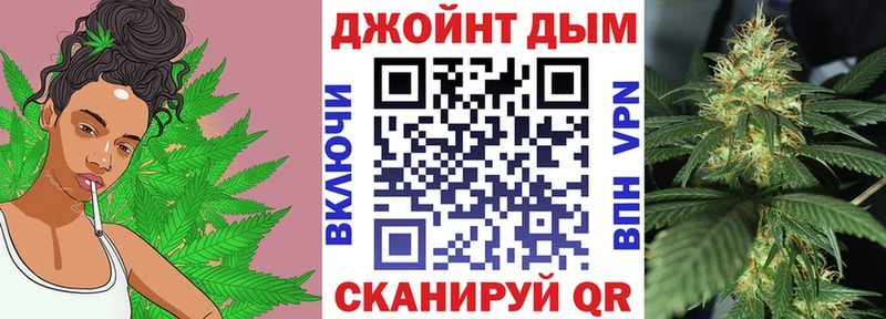 мега ТОР  купить наркотик  Череповец  сайты даркнета клад  МАРИХУАНА семена 